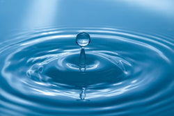 Image of How to Save Water: Water saving tips for the home